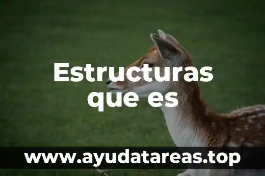 Estructuras que es