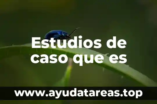 Estudios de caso que es