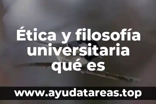 Ética y filosofía universitaria qué es