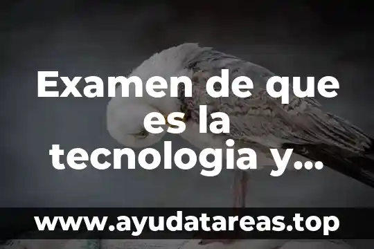 Qué es el método de examen el ACE-V 5 Examen de que es la tecnologia y sus respuestas