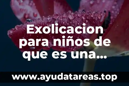 Exolicacion para niños de que es una entrevista