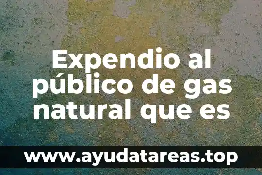 Expendio al público de gas natural que es