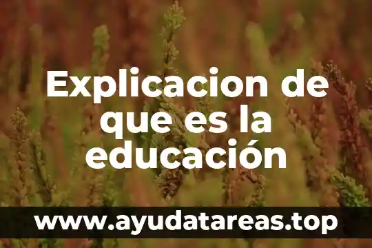 Explicacion de que es la educación
