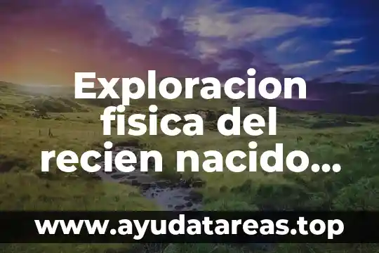 Según la OMS que es recién nacido 8 Exploracion fisica del recien nacido que es