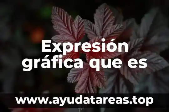 Expresión gráfica que es