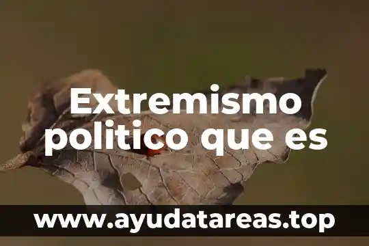 Extremismo politico que es