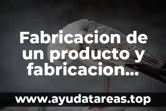 Nombre producto que es 8 Fabricacion de un producto y fabricacion multiple que es prezi