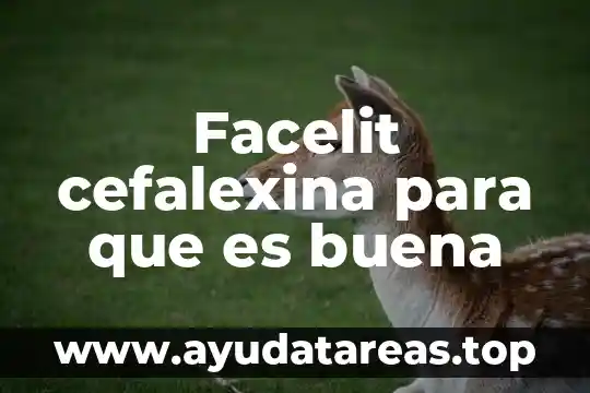 Para que es buena la agua de alcachofa 8 Facelit cefalexina para que es buena