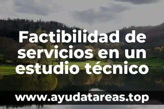 Que es la estrategia de internacionalizacion servicios 6 Factibilidad de servicios en un estudio técnico