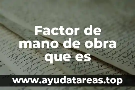 Factor de mano de obra que es