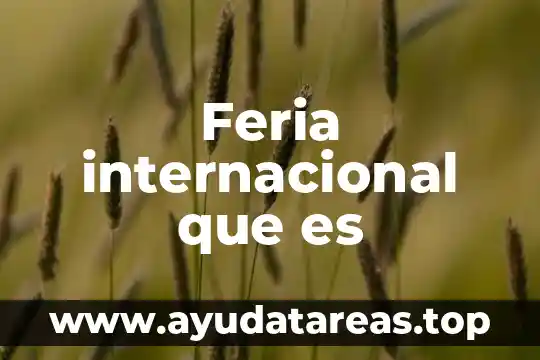 Feria internacional que es