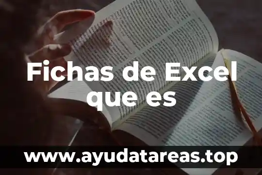 Para que es la existencia humana 8 Fichas de Excel que es