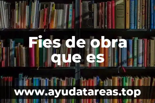 Número que desea aportar que es 4 Fies de obra que es