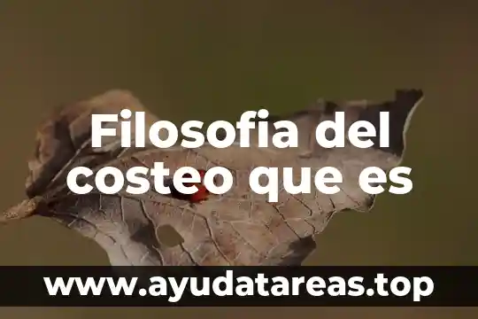 Filosofia del costeo que es