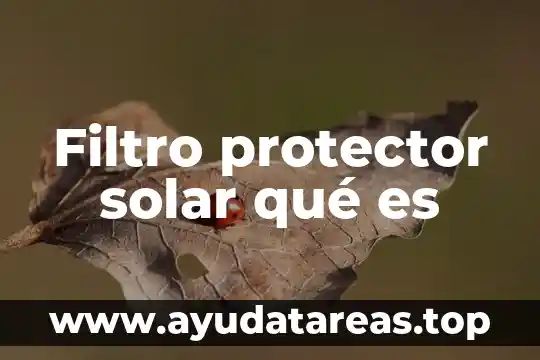 Que es protector termico bomba de agua 5 Filtro protector solar qué es