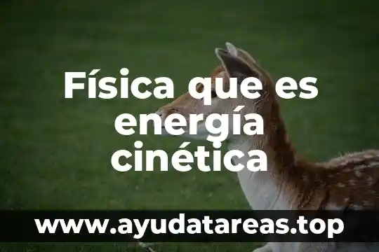 Física que es energía cinética