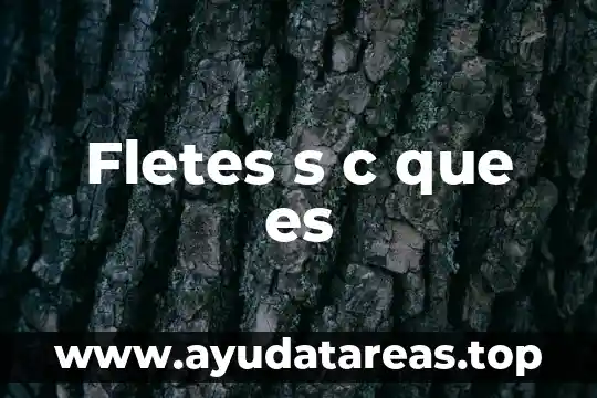 Fletes s c que es