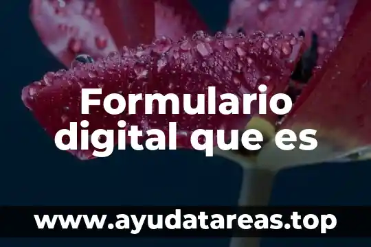 Qué es un archivo digital informática 3 Formulario digital que es
