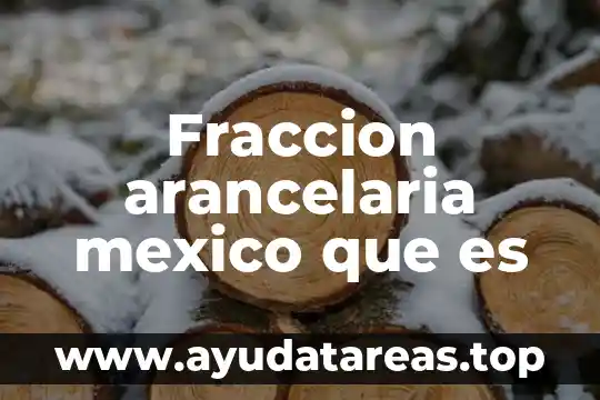 Fraccion arancelaria mexico que es