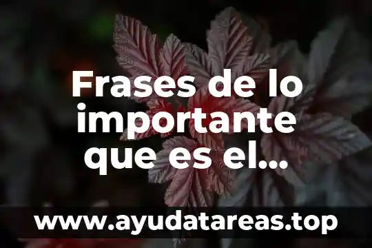 Que es agencia libre en deporte mexico 8 Frases de lo importante que es el deporte