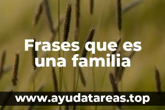 Frases que es una familia
