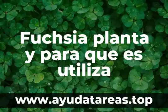 Planta cultivada que es 7 Fuchsia planta y para que es utiliza