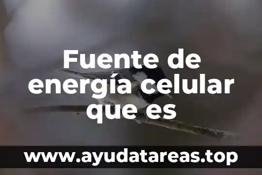 Fuente simétrica variable que es 4 Fuente de energía celular que es