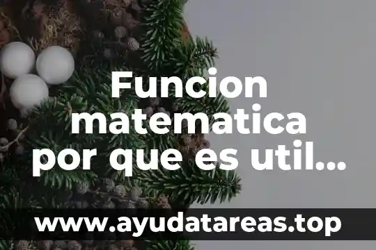 Funcion matematica por que es util conocerla