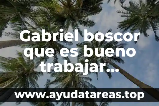 Qué es trabajar de hoster 8 Gabriel boscor que es bueno trabajar individualmente