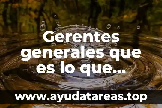 Gerentes generales que es lo que realizan