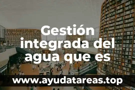 Qué es una gpu integrada 5 Gestión integrada del agua que es