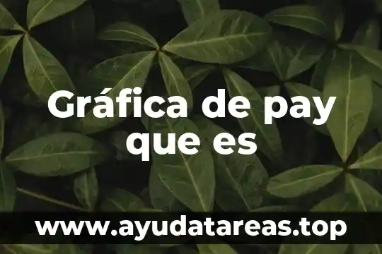 Grafica de que es una novela 3 Gráfica de pay que es