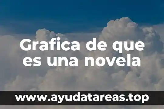 Que es un una grafica 3 Grafica de que es una novela