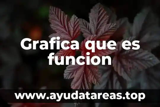 Que es representación grafica sistematizada 7 Grafica que es funcion