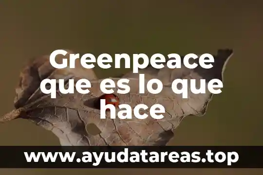 Que es neandertal significado 5 Greenpeace que es lo que hace