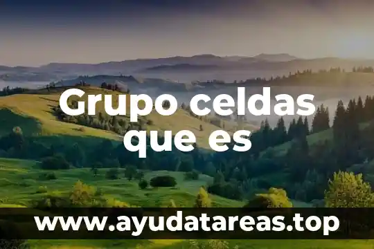 Que es un grupo auditor 8 Grupo celdas que es