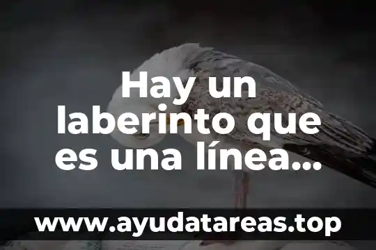 Que es la energia cuantos tipos hay de migracion 6 Hay un laberinto que es una línea recta