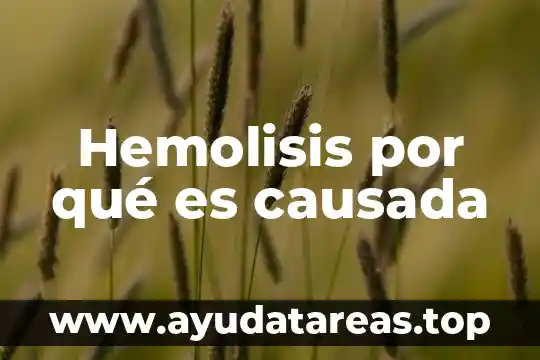 Hemofilia pediatria nombre del factor por el que es causada 5 Hemolisis por qué es causada