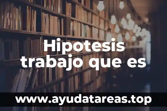 Hipotesis trabajo que es