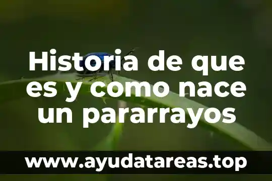 Que es el modelo.de historia social 3 Historia de que es y como nace un pararrayos