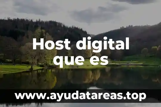 Qué es un convertidor de señal digital 7 Host digital que es