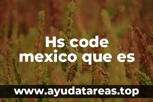 Hs code mexico que es