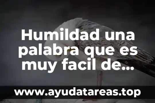 Que es el significado de la palabra auge 7 Humildad una palabra que es muy facil de decir