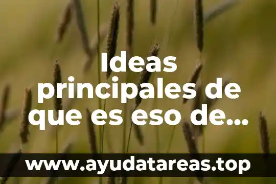 Que es teoria de las ideas 7 Ideas principales de que es eso de ética profesional