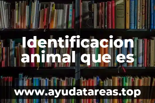 Muñecos que es animal de escuichi 7 Identificacion animal que es