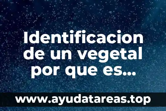 Identificacion de un vegetal por que es importante