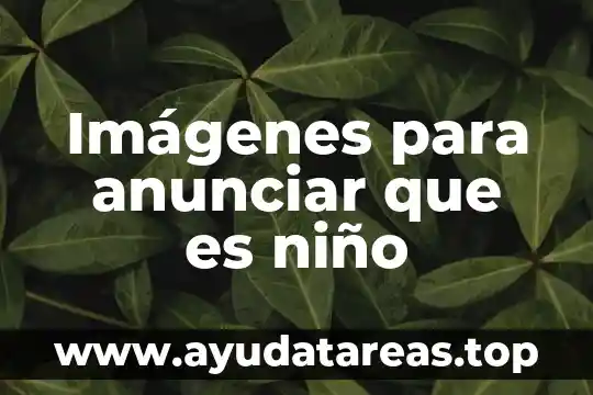 Cómo explicarle a un niño que es una teoría 3 Imágenes para anunciar que es niño