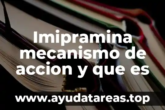Que es el mecanismo la idea 8 Imipramina mecanismo de accion y que es
