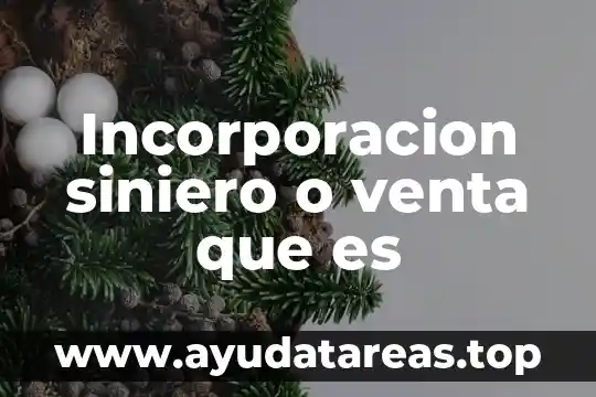 Que es nomada significado 6 Incorporacion siniero o venta que es