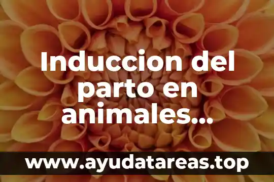 Que es el parto y etapas redalyc 5 Induccion del parto en animales domesticos que es